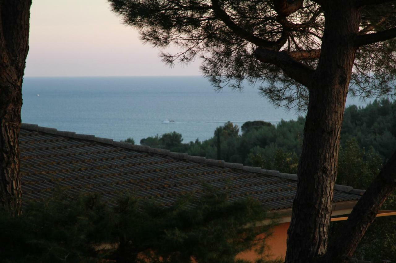 Villa Giulia al mare Castiglione della Pescaia Esterno foto